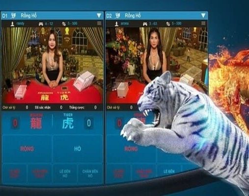 Thuật ngữ cơ bản trong tựa game rồng hổ